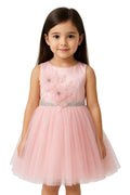 Shaquib Elegant Blush Peony Enchanted Tulle Dress