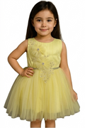 Shaquib Canary Sunburst Lacey Tulle Dress